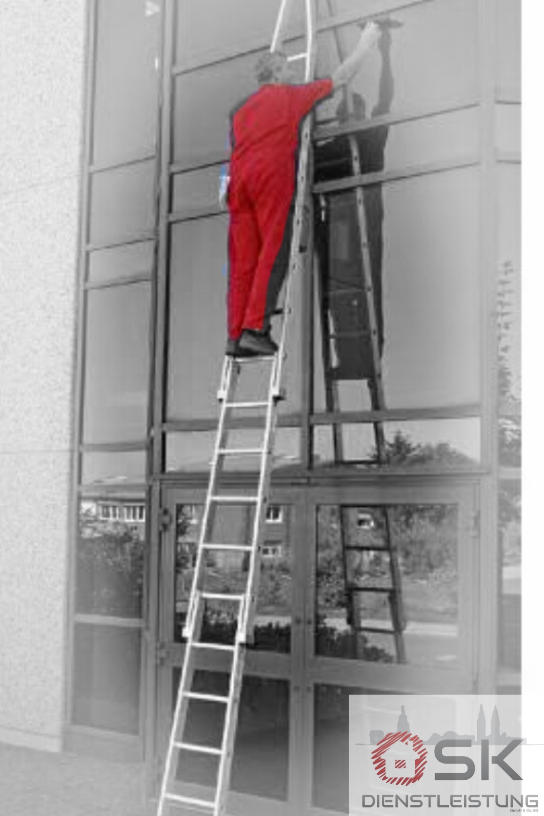 Ein Mann steht auf einer Leiter und reinigt eine Fensterfront. Dies ist nach Bedarf Bestandteil unserer Gebäudereinigung / Fensterreinigung